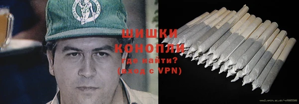 дживик Ступино
