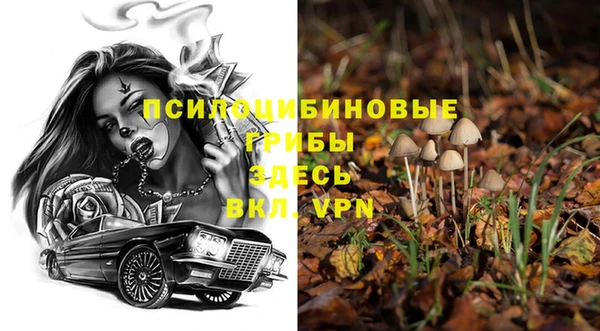 герыч Струнино