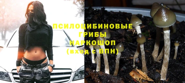 эйфоретик Строитель