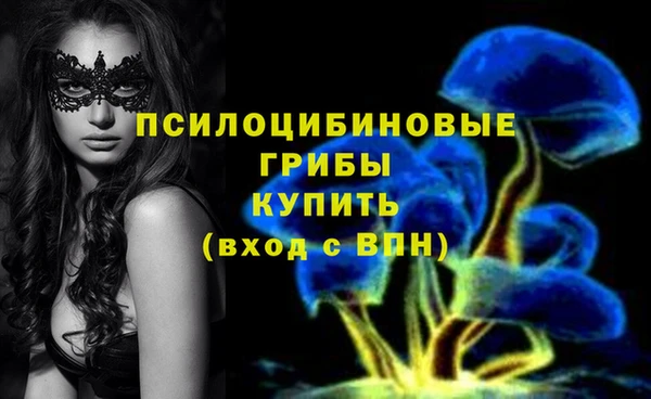 дживик Ступино